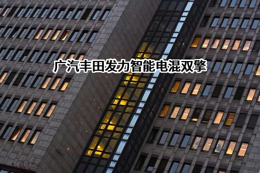 广汽丰田汽车有限公司