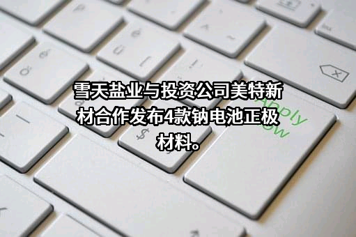 湖南雪天盐业技术开发有限公司