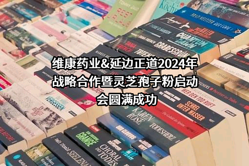 延边正道医药连锁有限公司