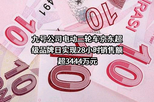 九号有限公司