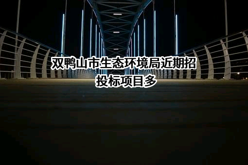 双鸭山市生态环境局