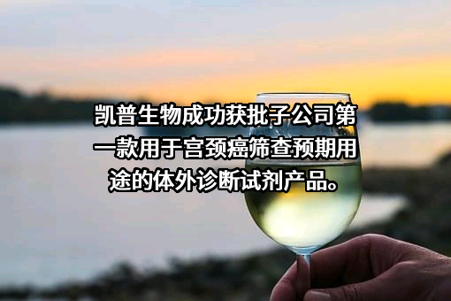 潮州凯普生物化学有限公司