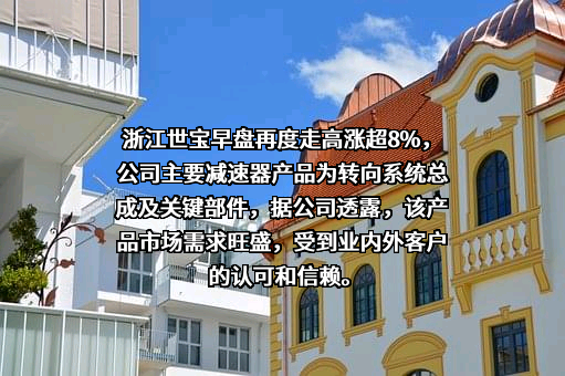 浙江世宝股份有限公司