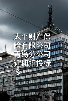 太平财产保险有限公司青岛分公司