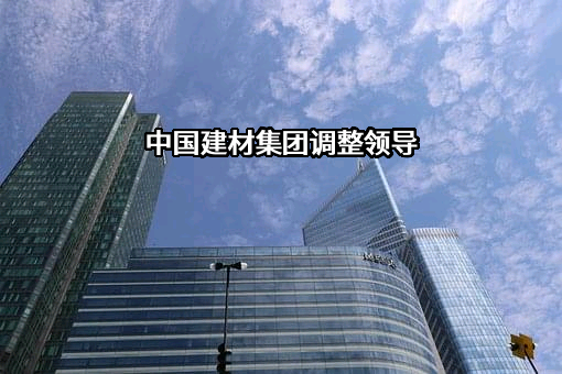 中国建材国际工程集团有限公司