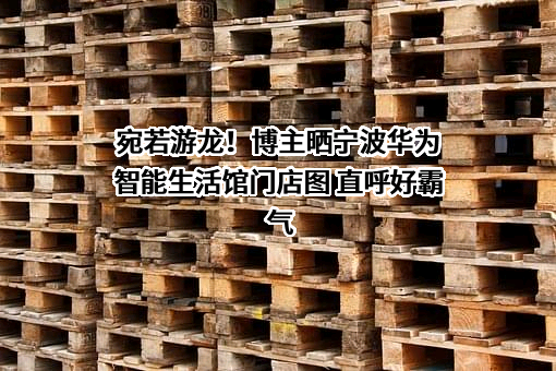 华为技术有限公司