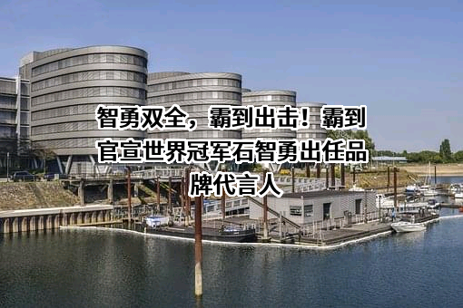 道达尔润滑油（中国）有限公司