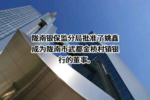 陇南市武都金桥村镇银行股份有限公司