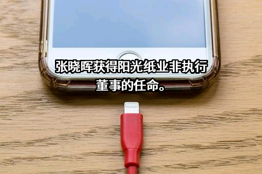 中国阳光纸业控股有限公司
