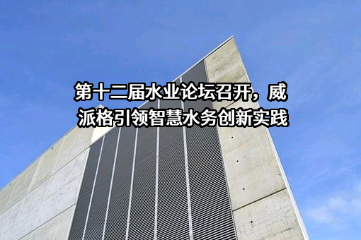 上海威派格智慧水务股份有限公司