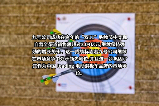 九号有限公司
