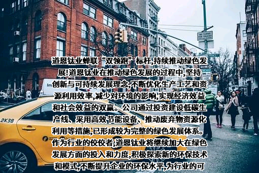 山东道恩钛业股份有限公司