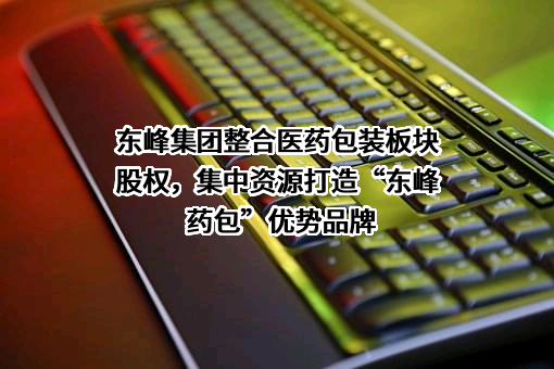 福建东峰电力集团有限公司