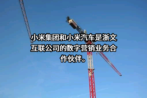 小米科技有限责任公司