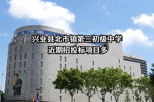 兴业县北市镇第三初级中学