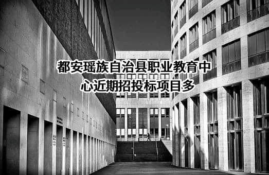 都安瑶族自治县职业教育中心近期招投标项目多