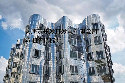 大唐贵州发耳发电有限公司