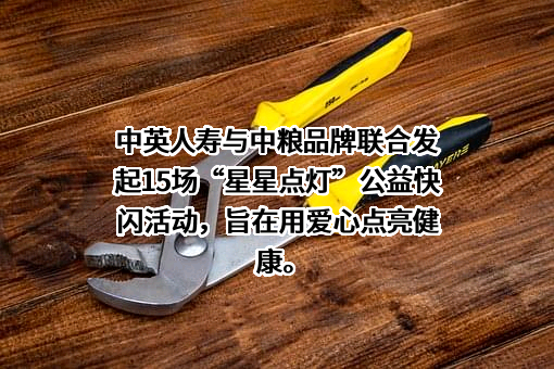 中英人寿保险有限公司