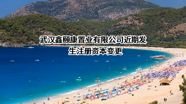 武汉鑫颐康置业有限公司