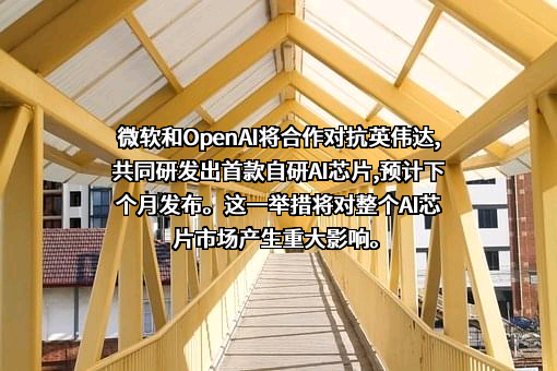 微软（中国）有限公司