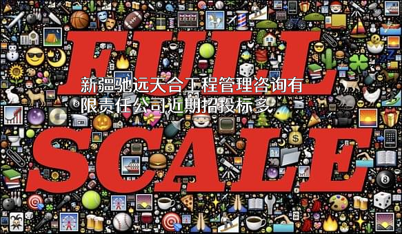 新疆驰远天合工程管理咨询有限责任公司