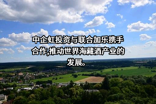 中企虹投资管理有限公司