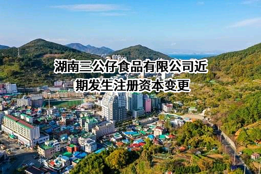 湖南三公仔食品有限公司
