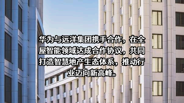 华为终端有限公司