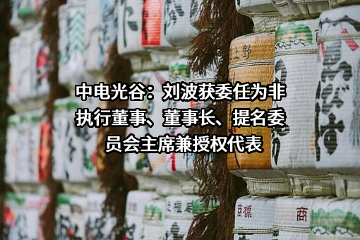 中电光谷：刘波获委任为非执行董事、董事长、提名委员会主席兼授权代表