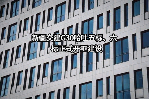 新疆交通建设集团股份有限公司