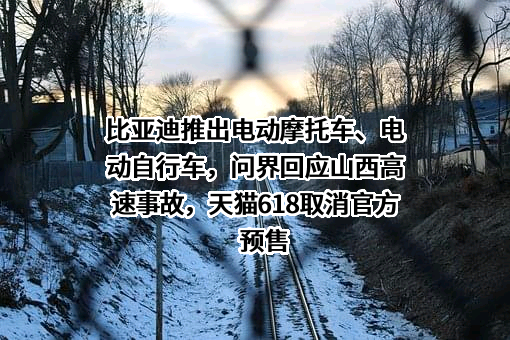 比亚迪股份有限公司