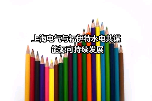 上海福伊特水电设备有限公司