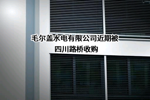 毛尔盖水电有限公司近期被四川路桥收购