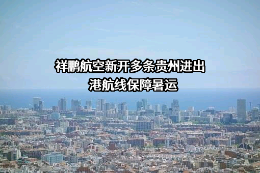 云南祥鹏航空有限责任公司