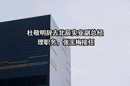 杜敬明辞去北辰实业副总经理职务，张玉梅接任