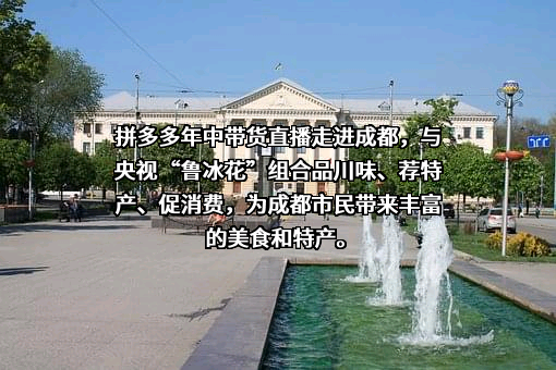 青海拼多商贸有限公司