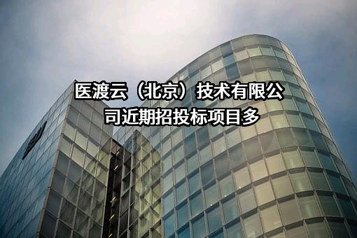 医渡云（北京）技术有限公司