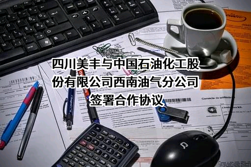 四川美丰化工股份有限公司