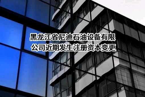 黑龙江省尼迪石油设备有限公司