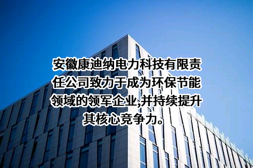 安徽康迪纳电力科技有限责任公司