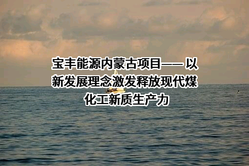 宁夏宝丰能源集团股份有限公司