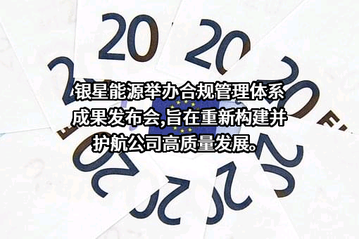 宁夏银星能源股份有限公司