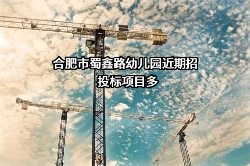 合肥市蜀鑫路幼儿园
