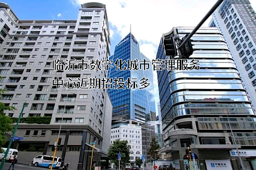 临沂市数字化城市管理服务中心