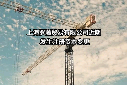 上海罗藤贸易有限公司