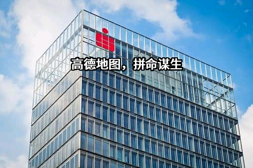 高德软件有限公司