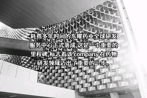 东曜药业有限公司