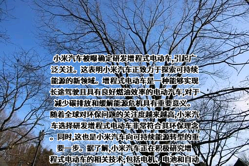 小米汽车有限公司