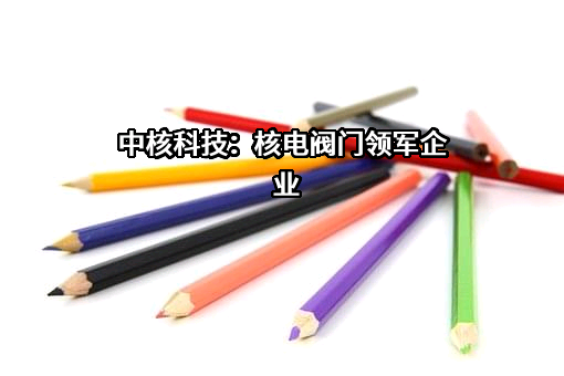 中核苏阀科技实业股份有限公司
