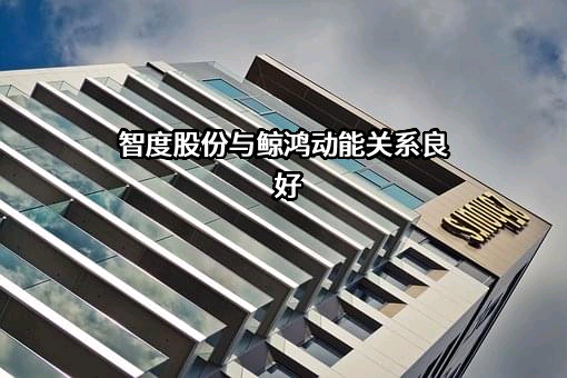 智度科技股份有限公司